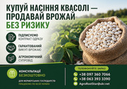 Насіння квасолі білої з гарантією викупу врожаю